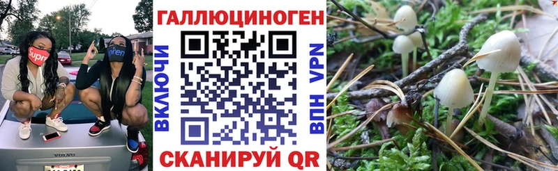 Псилоцибиновые грибы Cubensis  как найти закладки  Ессентуки 