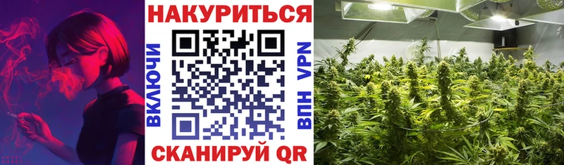 Конопля Bruce Banner  где найти наркотики  blacksprut ONION  Ессентуки 